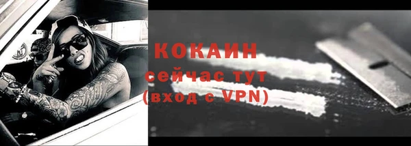 молекула духа Михайловск