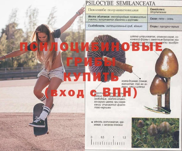 ALPHA-PVP Алзамай
